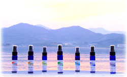 �`���N���E�~�X�g